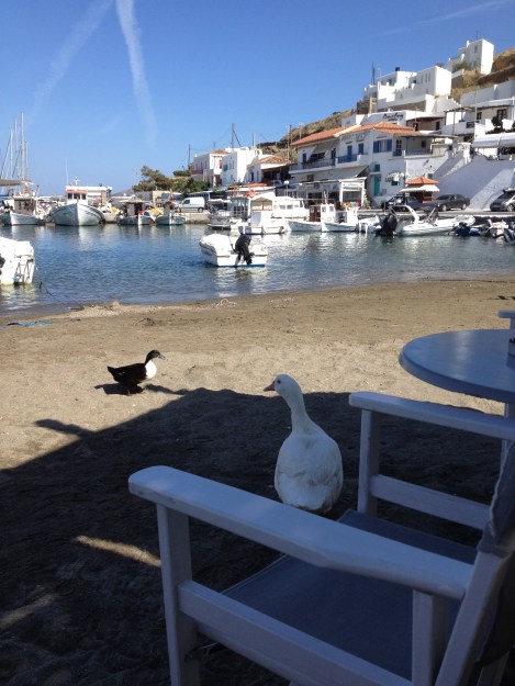 851D8B3E-C460-4195-8BBD-EDEB650B91E3